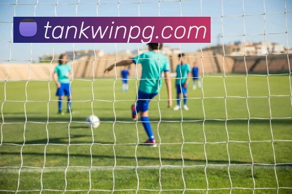 pg官网服务体系